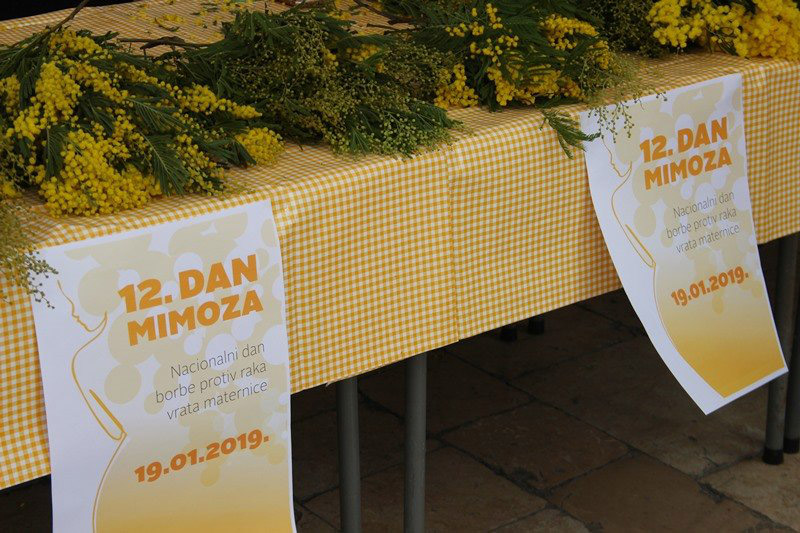12. DAN MIMOZA Liga protiv raka Dubrovnik